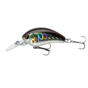 DAIWA Tournament Baby Crank | 35F-SR